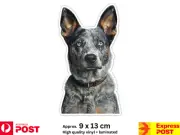 Aus Cattle Dog vinyl sticker decal waterproof Blue Heeler unique eyes gift truck