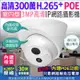 監視器 網路攝影機 H.265 300萬 3MP 半球 海螺型 吸頂 紅外線夜視 POE供電 IPCAM NVR 適用櫃台 收銀