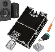 Wireless Audio Amplifier Module | 100W Mono Amplifier Board,Portable Subwoofer Audio Accessory for Car Home Studio Live Sound