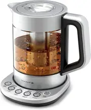 Electric Kettle with Tea Infuser for Loose Leaf Tea with Temperature Control