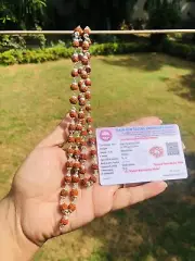 925 Silver LAB CERTIFIED Natural 5 Mukhi RUDRAKSHA Mala ROSARY 54+1 Beads Cut Wk