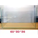 🎀茄圓魚缸🎀60X30X36(長寬高)公分 ,兩呎標準缸 玻璃魚缸 開放缸 水族箱 爬蟲缸 寵物箱