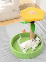 Ultimate Cat Scratch Paradise