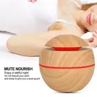 Round Ball Shape USB Plug In Aroma Diffuser Humidifier Air Purifier BT5