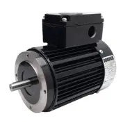 Dorner 42R6BFPP eDrive Electric Motor, 3-Phase 230/460VAC, 3/8HP, 1700RPM
