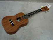 NEW! Tanglewood Play By Color ukulele pack Learn To Play