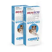 Bravecto Spot-on Blue 20-40kg Large Dogs 2 pack (12 months)