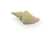 Tuba Shell Toy, White, Sea Snail, Ocean, Sea Shell, Gift, 3" F4112 B96
