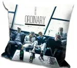 BEAST HIGHLIGHT 全體 ORDINARY YEY  抱枕 靠墊，40X40CM，緞紋布，色彩鮮豔，印製精美