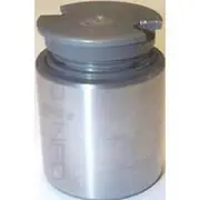 Protex Caliper Piston - 090P0429
