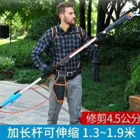 在飛比找蝦皮商城精選優惠-免運 電動剪刀 電動樹枝剪 果樹剪刀 電剪 修枝 充電式電動