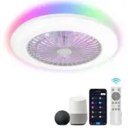 Breezary 19 in. Smart Indoor White Ceiling Fan+RGB Light, APP Control+Remote