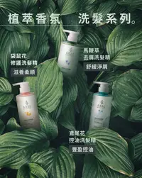 在飛比找松果購物優惠-【大倉美記】洗髮精 500ml/瓶 (馬鞭草去屑/袋鼠花修護