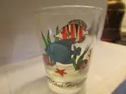 MAUI HAWAII -reef fish on Standard SHOT GLASS - new