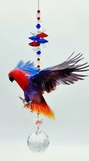 Eclectus Parrot Crystal Suncatcher gift, (more designs) sun catcher suncatchers