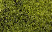 Bachmann 32921 Light Green Grass Mat