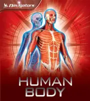 Navigators: Human Body by Miranda Smith (English) Paperback Book