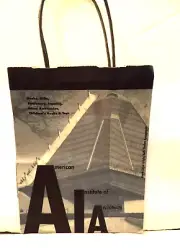 AMERICAN INSTITUTE OF ARCHITECTS PAPER GIFT BAG FRANK LLOYD WRIGHT BETH SHOLOM