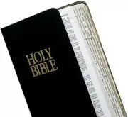 Tabbies Mini Gold-Edged Bible Indexing Tabs Old & New Testament 80 Tabs 64 Books