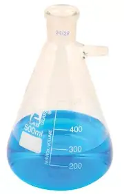 Eisco Labs 100ml Buchner Filtering Flask with 24/29 Socket Size