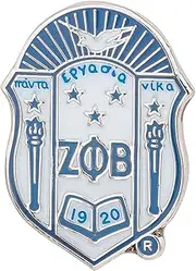 [Desert Cactus] Zeta Phi Beta Lapel Pin Enamel Sorority Greek Letter Formal Wear Blazer Jacket (Lapel Pin - Design I), Metal, no gemstone
