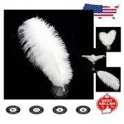 Deluxe Pack of 20 Natural White Ostrich Feathers for Wedding & Event Decor