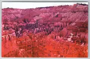 c1940s Bryce Canyon National Park Utah Multicolored View Linen
