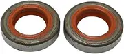 Crank Oil Seal Set Fit for Sti MS200 MS200T 020T 020 MC 200 MS 200T Chainsaw 9640 003 1191 Parts Garden Tools 10pcs