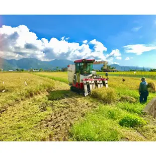 🌾2023宜蘭好稻新鮮芋香米收割🌾30公斤宜蘭三星白米、芋香米自產自銷小農生產(捐米、代捐、公司行號)