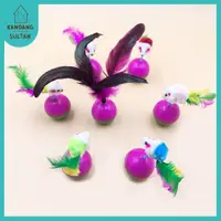 在飛比找蝦皮購物優惠-帶鼠標形裝飾和羽毛的 Roly-poly 球玩具