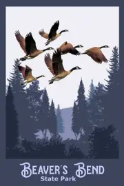 Travel Poster 20 x 30 Beaver's Bend State Park geese Flying TRAVEL POSTER