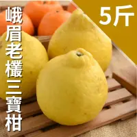 在飛比找台灣好農優惠-峨眉老欉三寶柑(5台斤)