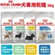 Royal Canin法國皇家 犬專用乾糧3Kg 腸胃/皮膚/體重/泌尿道保健小型成犬 犬糧 (8.3折)