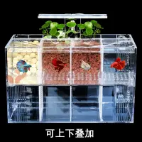 在飛比找蝦皮購物優惠-【萌寵】鬥魚魚缸 水族用品 鬥魚缸 迷你水族箱 水族繁殖盒 