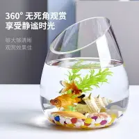 在飛比找樂天市場購物網優惠-圓形玻璃斜口魚缸水培植物綠蘿水培透明花瓶花盆水培器皿水族花瓶