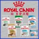 法國皇家ROYAL CANIN |皇家狗餐包|85g|狗狗專用濕糧|狗濕糧|狗主食|狗餐包|皇家|餐包|翔帥寵物生活館(49元)