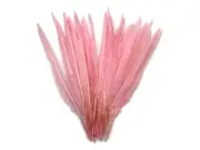 1/4 Lb. - Light Pink Goose Pointers Long Primary Wing Wholesale Feather Costume