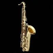 Grassi TS210 Bb Tenor Saxophone Gold Lacquer Finish with Backpack Case