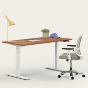 Recess Active Bundle | Ergonomic Chair Desk | Home Office Furniture Packages, Eucalypt / Small - 120W x 70D (cm) / Walnut/White