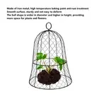 Garden Chicken Wire Cloche Plant Protector Cover Set of 10 Thick Durable Design