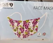 Mask Grapes Design Adult 2 pack 2 layers 100 % Polyester Washable Primeware