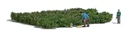 Picking forest blueberries - Figures included HO/OO Gauge Busch 7956