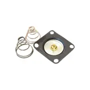 Aeroflow Replacement Diaphragm With High And Low Pressure Springs