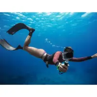 在飛比找蝦皮購物優惠-GoPro Hero5 運動相機 防水 聲控