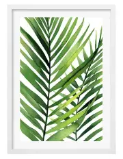 [Profile Australia] Australian Made Kentia Palm Leaves Art Print A2 in White Frame