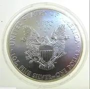 Silver Bullion Dollar USA American Eagle 1oz Coin in Coin Silver Investment 2013