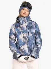 Roxy Jetty Snow Jacket - Women's - X-Small / Wild Wind Darknight (BQY1)