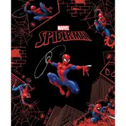 Marvel Spider-Man - Book