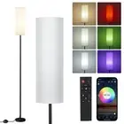 Frideko Floor Lamps for Living Room, Dimmable Colors Temperature & Brightness...