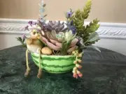Planter Baby Chick Artificial Grass Succulent Plants in Ceramic Watermelon Bowl